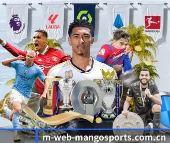 芒果体育网页版 APP(MangoSport)